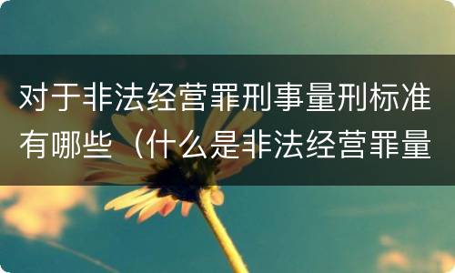 对于非法经营罪刑事量刑标准有哪些（什么是非法经营罪量刑标准）