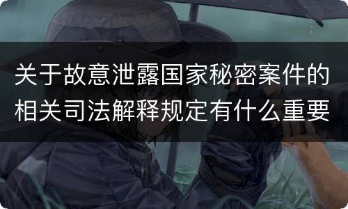 关于故意泄露国家秘密案件的相关司法解释规定有什么重要内容
