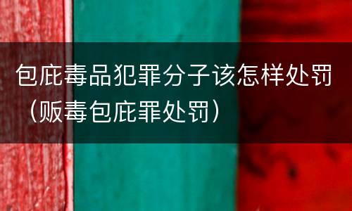 包庇毒品犯罪分子该怎样处罚（贩毒包庇罪处罚）