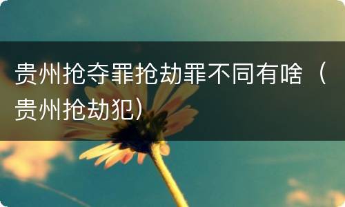 贵州抢夺罪抢劫罪不同有啥（贵州抢劫犯）
