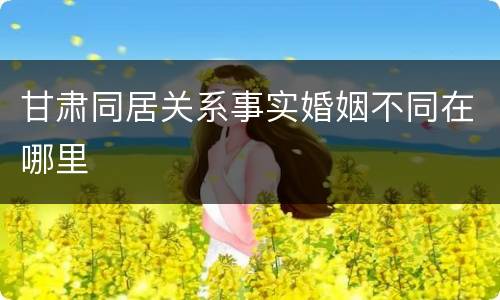 甘肃同居关系事实婚姻不同在哪里