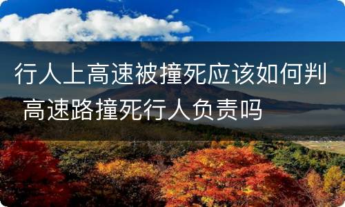 行人上高速被撞死应该如何判 高速路撞死行人负责吗