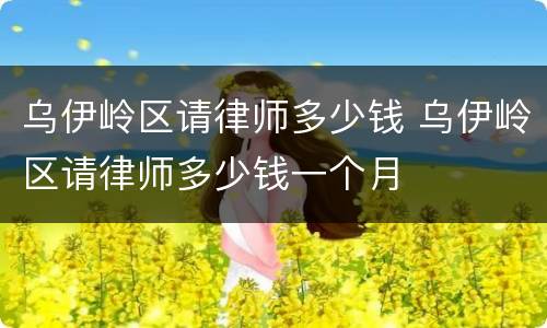 乌伊岭区请律师多少钱 乌伊岭区请律师多少钱一个月