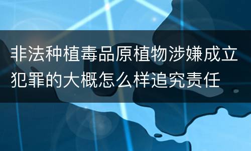 非法种植毒品原植物涉嫌成立犯罪的大概怎么样追究责任