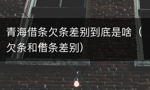 青海借条欠条差别到底是啥（欠条和借条差别）