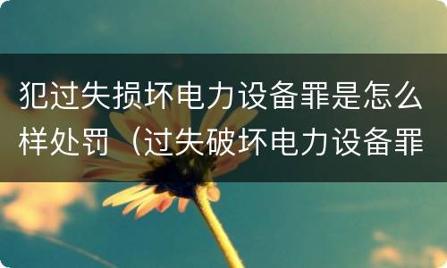犯过失损坏电力设备罪是怎么样处罚（过失破坏电力设备罪追诉标准）