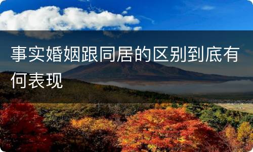 事实婚姻跟同居的区别到底有何表现