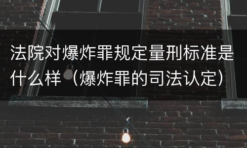 法院对爆炸罪规定量刑标准是什么样（爆炸罪的司法认定）