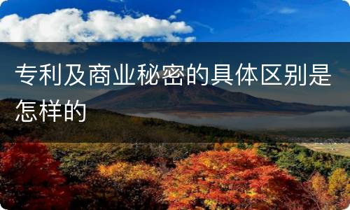 专利及商业秘密的具体区别是怎样的