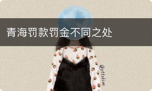 青海罚款罚金不同之处