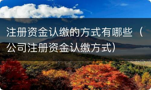 注册资金认缴的方式有哪些（公司注册资金认缴方式）