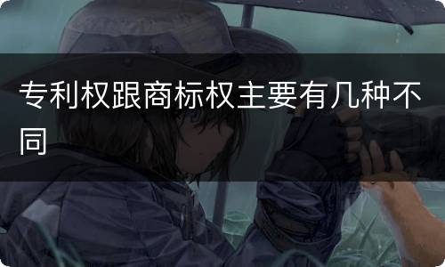 专利权跟商标权主要有几种不同