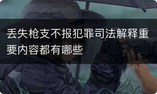 丢失枪支不报犯罪司法解释重要内容都有哪些