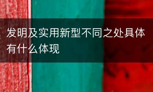 发明及实用新型不同之处具体有什么体现