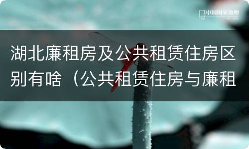 湖北廉租房及公共租赁住房区别有啥（公共租赁住房与廉租房的区别）