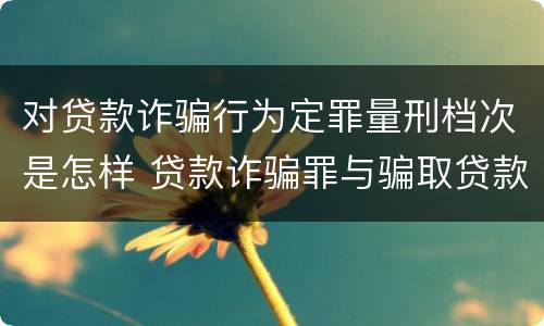 对贷款诈骗行为定罪量刑档次是怎样 贷款诈骗罪与骗取贷款罪量刑区别