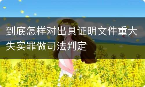 到底怎样对出具证明文件重大失实罪做司法判定