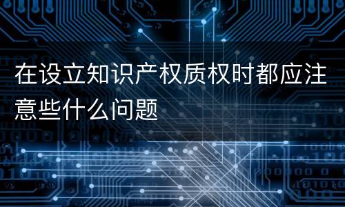 在设立知识产权质权时都应注意些什么问题