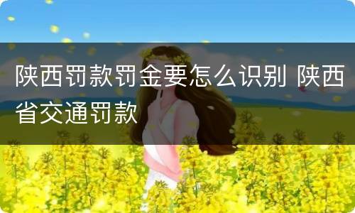 陕西罚款罚金要怎么识别 陕西省交通罚款