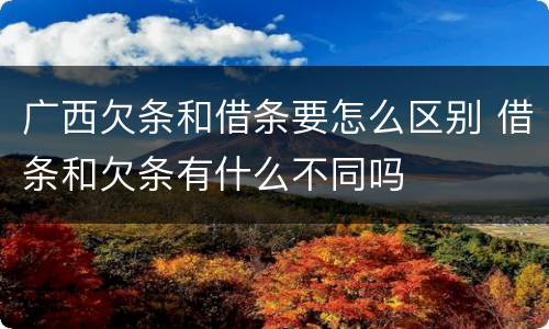 广西欠条和借条要怎么区别 借条和欠条有什么不同吗