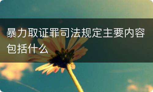 暴力取证罪司法规定主要内容包括什么