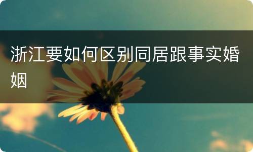 浙江要如何区别同居跟事实婚姻