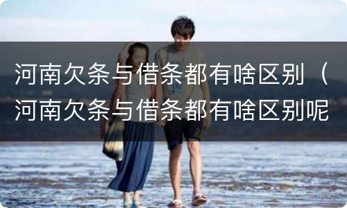 河南欠条与借条都有啥区别（河南欠条与借条都有啥区别呢）