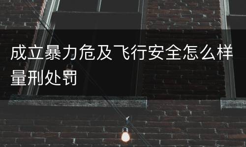 成立暴力危及飞行安全怎么样量刑处罚
