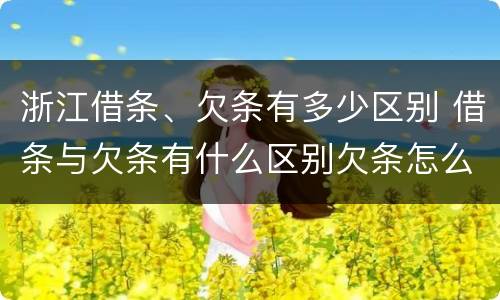 浙江借条、欠条有多少区别 借条与欠条有什么区别欠条怎么写