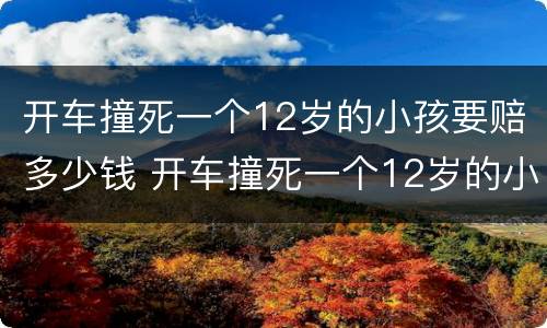 开车撞死一个12岁的小孩要赔多少钱 开车撞死一个12岁的小孩要赔多少钱呀