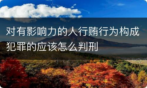 对有影响力的人行贿行为构成犯罪的应该怎么判刑