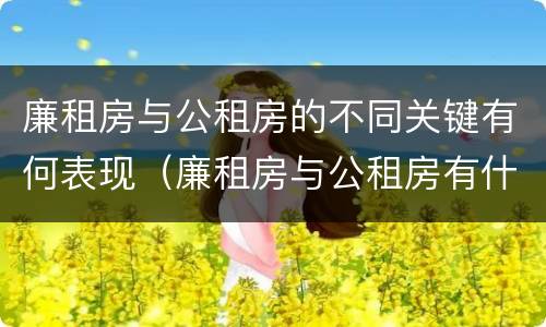 廉租房与公租房的不同关键有何表现（廉租房与公租房有什么不同）