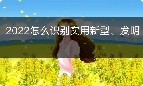 2022怎么识别实用新型、发明