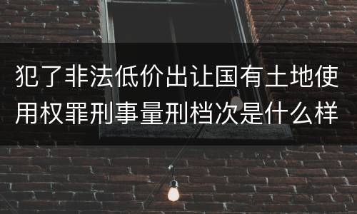 犯了非法低价出让国有土地使用权罪刑事量刑档次是什么样