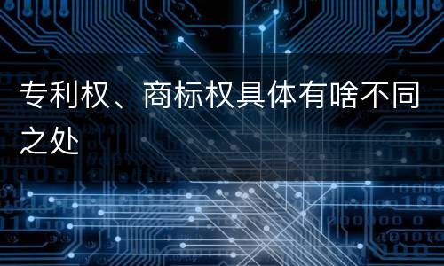 专利权、商标权具体有啥不同之处