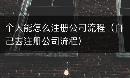 个人能怎么注册公司流程（自己去注册公司流程）