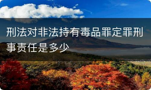 刑法对非法持有毒品罪定罪刑事责任是多少