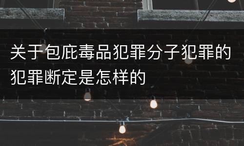 关于包庇毒品犯罪分子犯罪的犯罪断定是怎样的