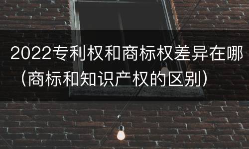 2022专利权和商标权差异在哪（商标和知识产权的区别）