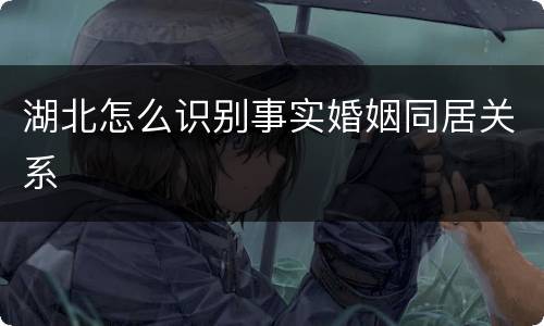 湖北怎么识别事实婚姻同居关系