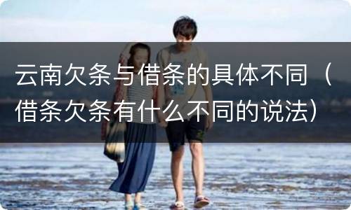 云南欠条与借条的具体不同（借条欠条有什么不同的说法）