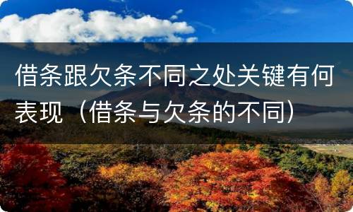 借条跟欠条不同之处关键有何表现（借条与欠条的不同）