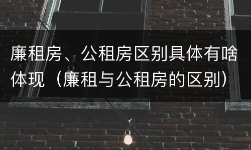 廉租房、公租房区别具体有啥体现（廉租与公租房的区别）