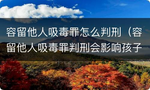 容留他人吸毒罪怎么判刑（容留他人吸毒罪判刑会影响孩子吗）