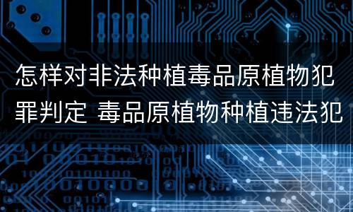 怎样对非法种植毒品原植物犯罪判定 毒品原植物种植违法犯罪行为