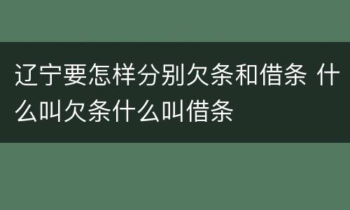 辽宁要怎样分别欠条和借条 什么叫欠条什么叫借条