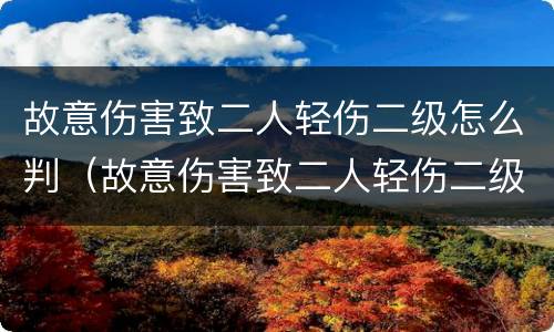 故意伤害致二人轻伤二级怎么判（故意伤害致二人轻伤二级怎么判定）