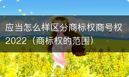 应当怎么样区分商标权商号权2022（商标权的范围）