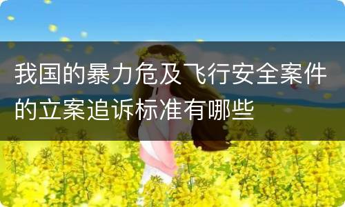 我国的暴力危及飞行安全案件的立案追诉标准有哪些