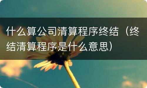 什么算公司清算程序终结（终结清算程序是什么意思）